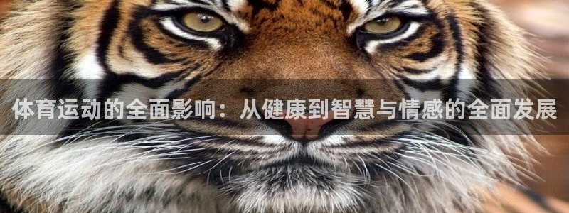 米兰体育官网下载注册:体育运动的全面影响:从健康到智慧与情感