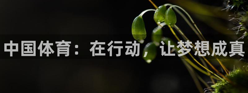 米兰体育官网下载招商电话号码是多少啊:中国体育:在行动,让梦