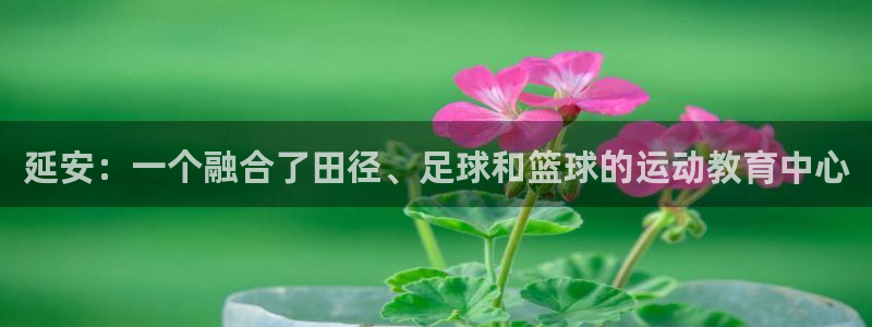 米兰体育官网下载招商电话地址查询:延安:一个融合了田径、足球